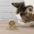 Carica l'immagine nel visualizzatore della galleria, Profumo Catmint - Gatto - Aromiere Cat&Dog -