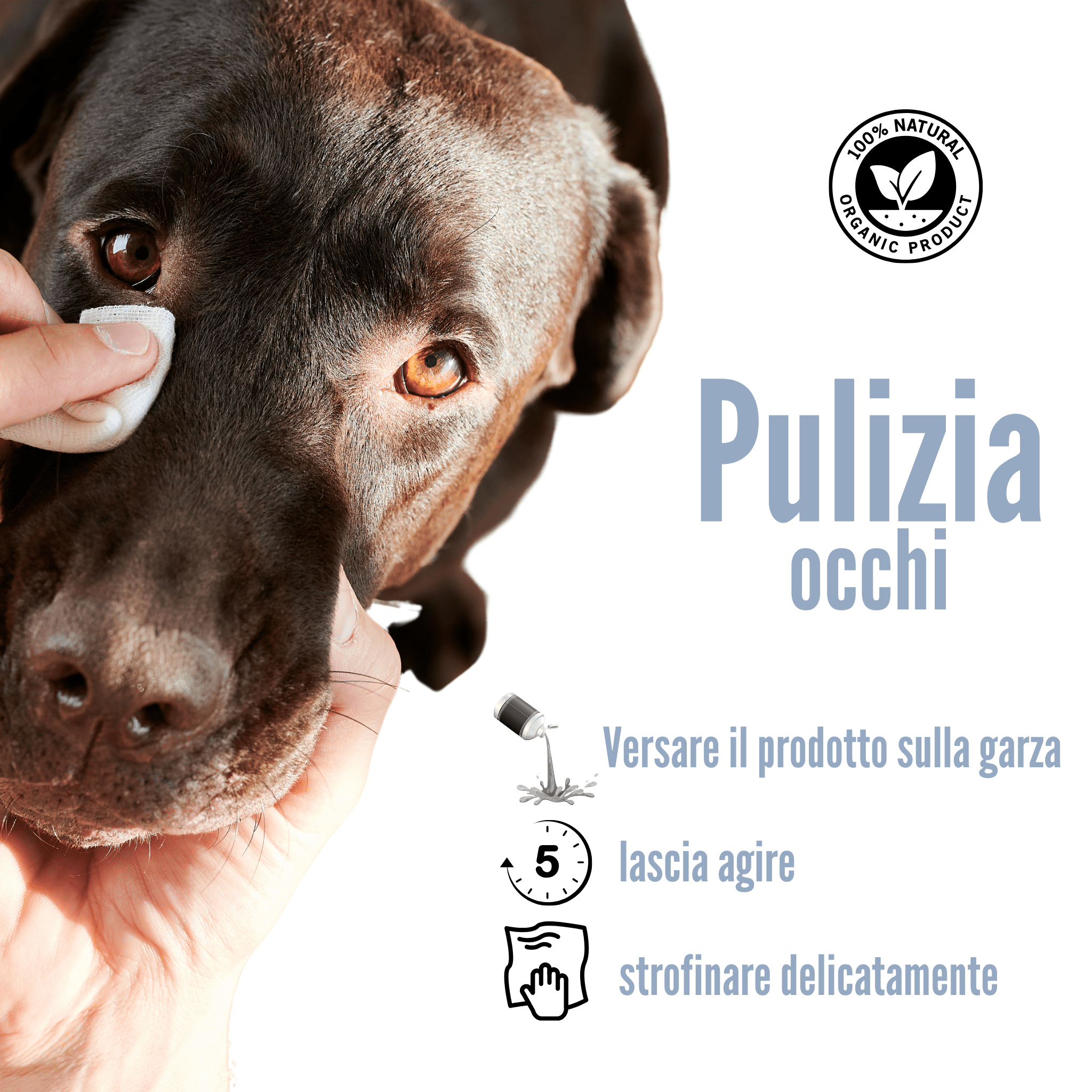 Pulizia occhi | Cane & Gatto - Aromiere Cat&Dog - 250ml -