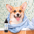 Carica l'immagine nel visualizzatore della galleria, Pulizia occhi | Cane & Gatto - Aromiere Cat&Dog - 250ml -