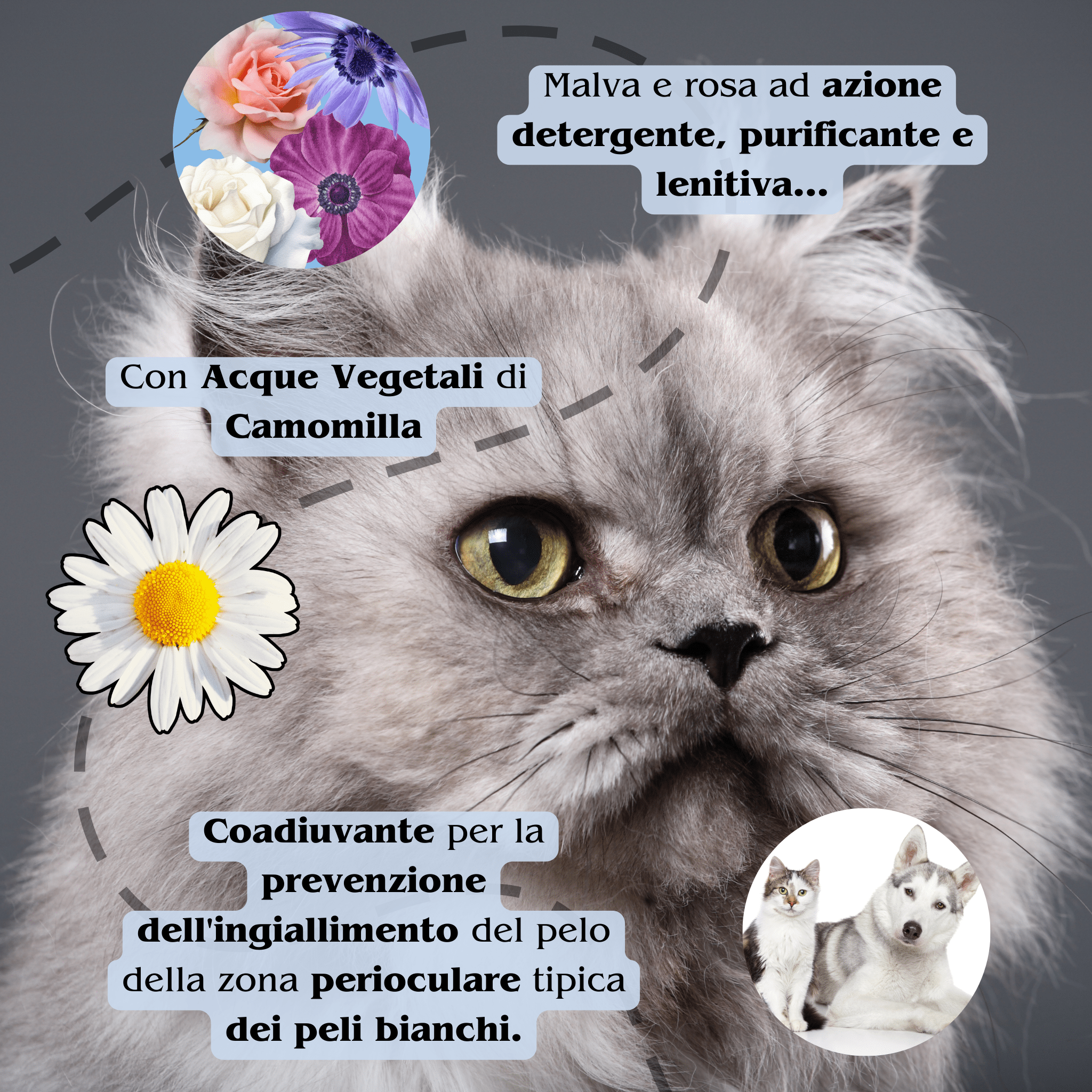 Pulizia occhi | Cane & Gatto - Aromiere Cat&Dog - 250ml -