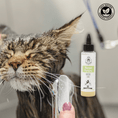 Carica l'immagine nel visualizzatore della galleria, Shampoo Purificante | Gatto - Aromiere Cat&Dog - 250ml -