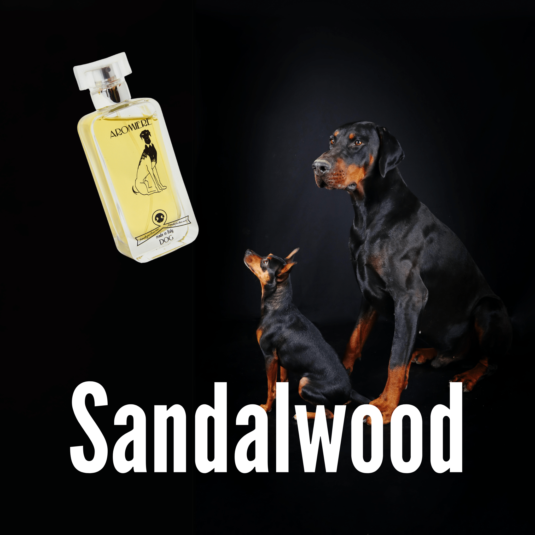 Profumo Sandalwood | Cane - Aromiere Cat&Dog - 