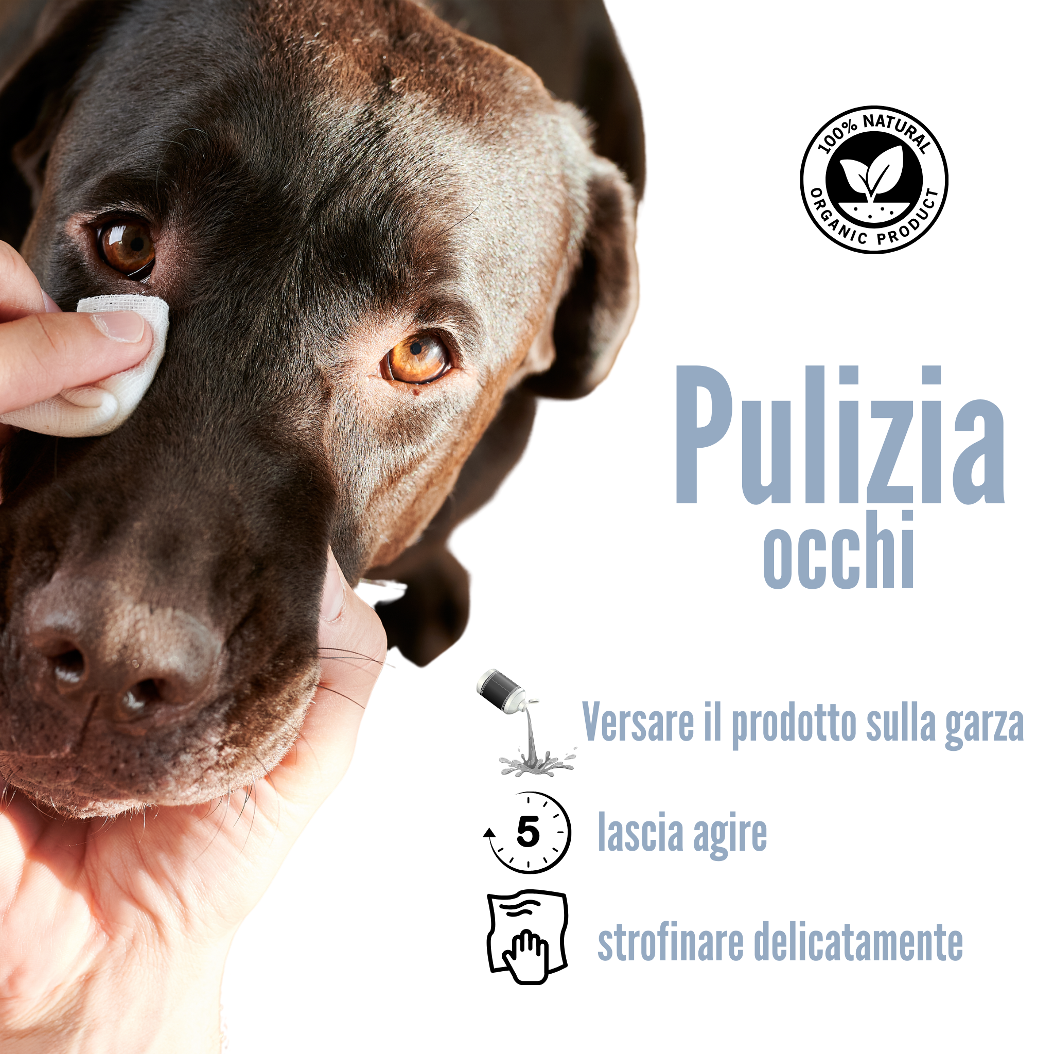 Pulizia occhi | Cane & Gatto