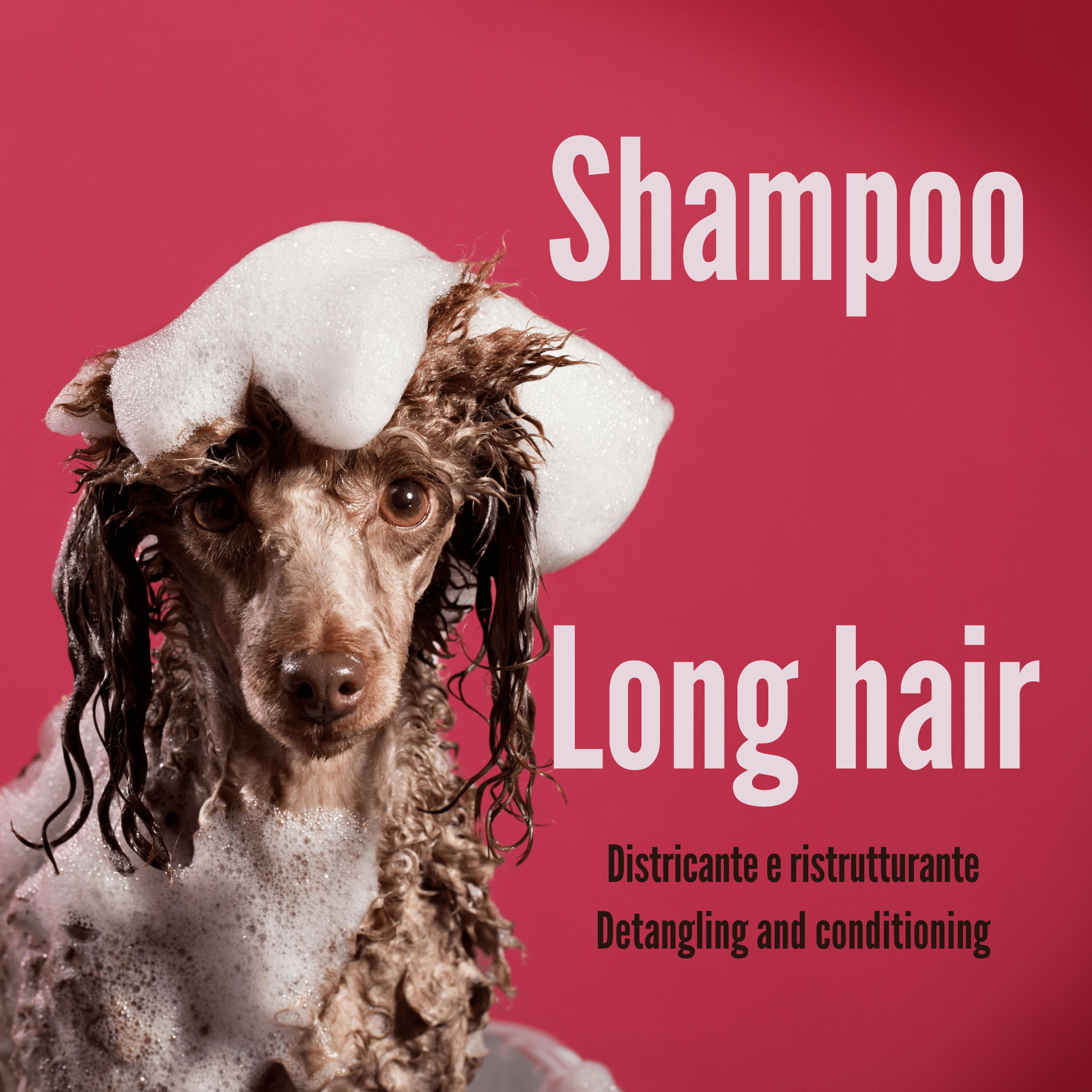 Shampoo Pelo Lungo - Long Hair | Cane - Aromiere Cat&Dog - 250ml - 