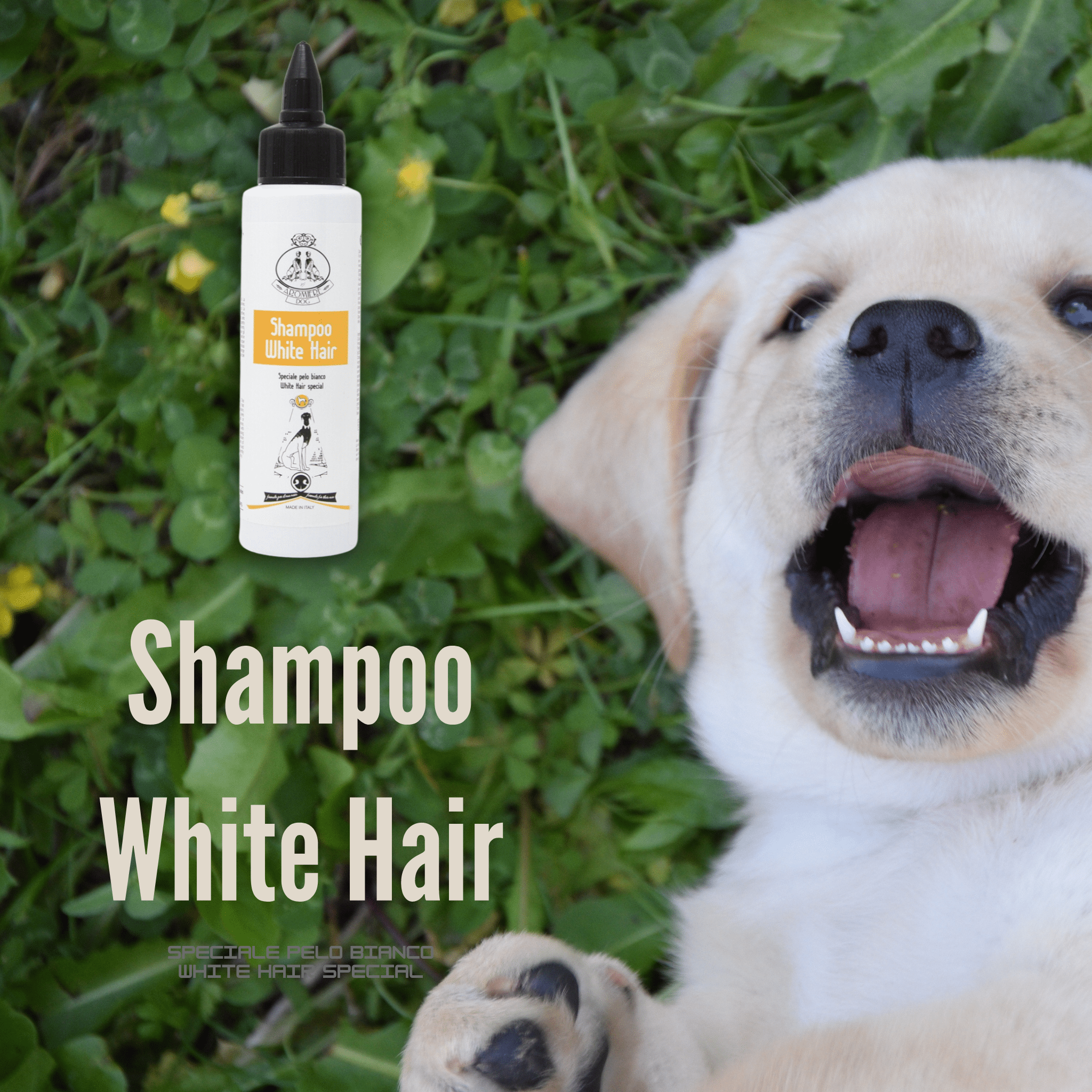 Shampoo Pelo Bianco - White Hair | Cane - Aromiere Cat&Dog - 250ml - 