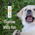 Carica l'immagine nel visualizzatore della galleria, Shampoo Pelo Bianco - White Hair | Cane
