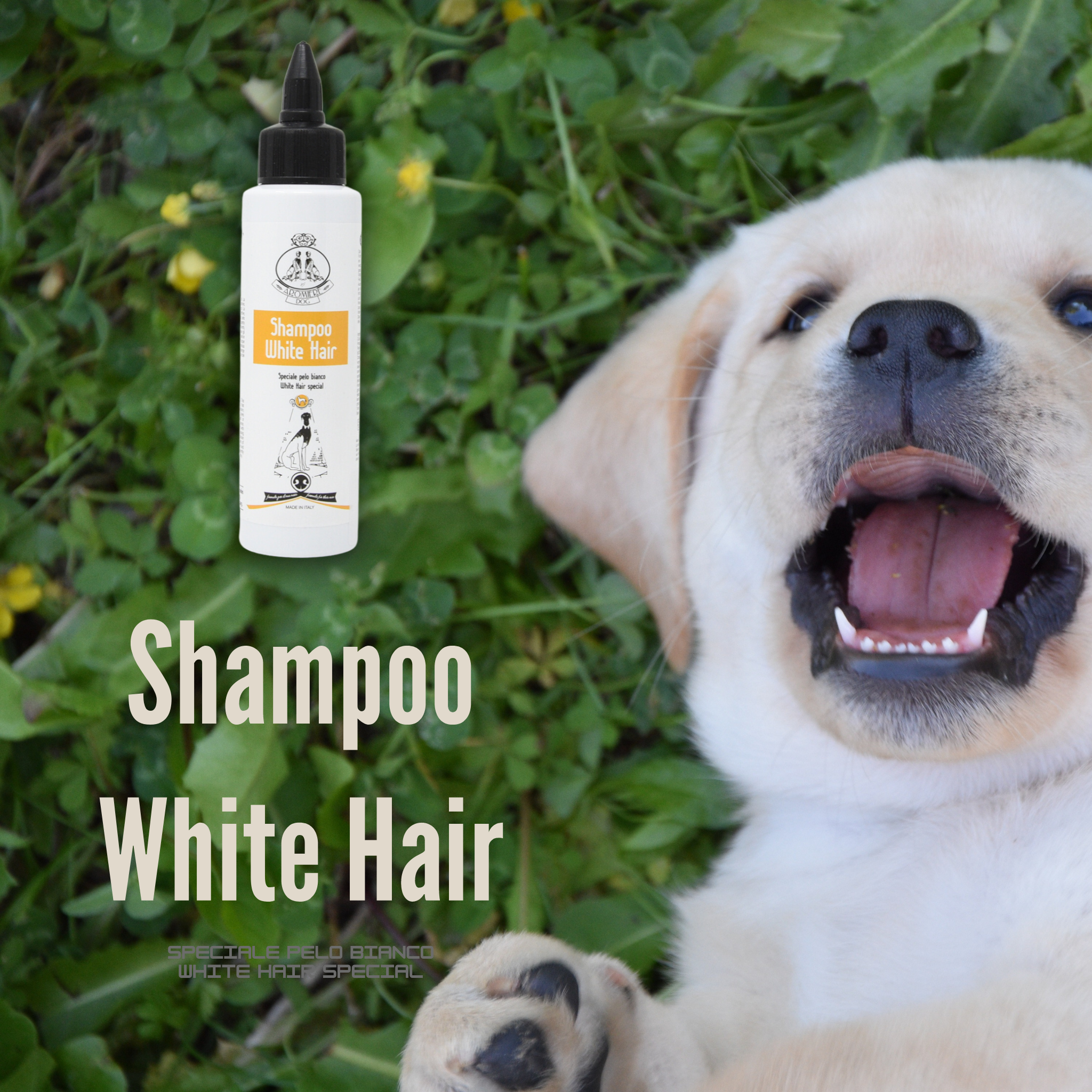 Shampoo Pelo Bianco - White Hair | Cane